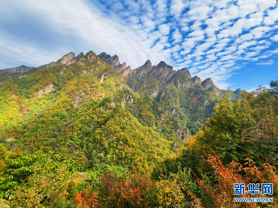 南陽西峽：秋日山林層林盡染