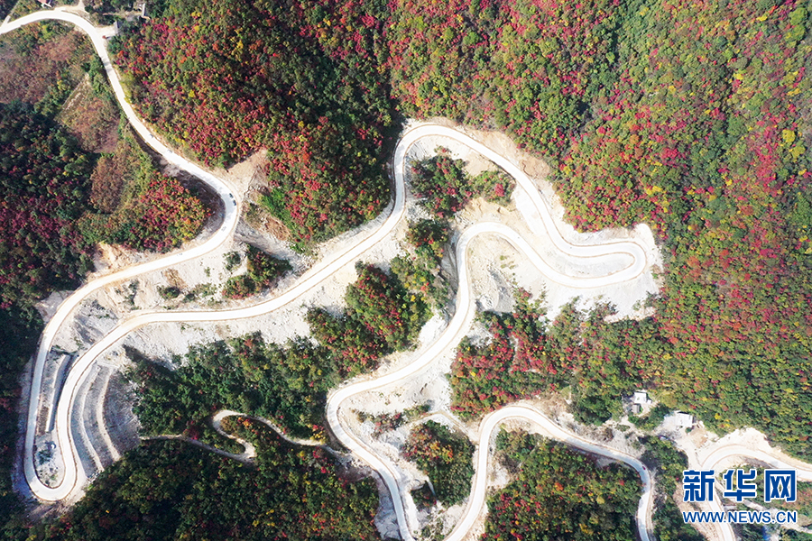 南陽西峽：秋日山林層林盡染