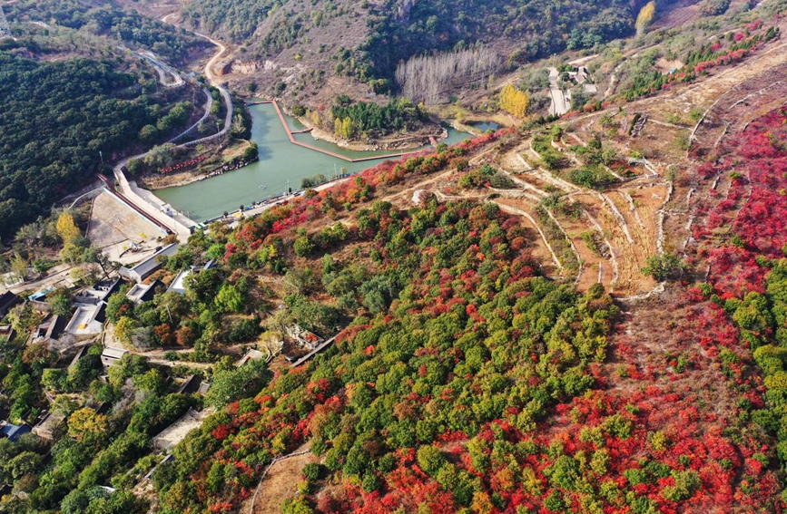 平頂山寶豐：山鄉秋色美