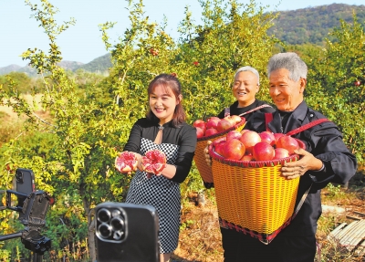 駐馬店：抓牢“五星”創建 用好關鍵一招