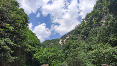 【河南供稿】平頂山市魯山縣紮實推進環境污染防治工作