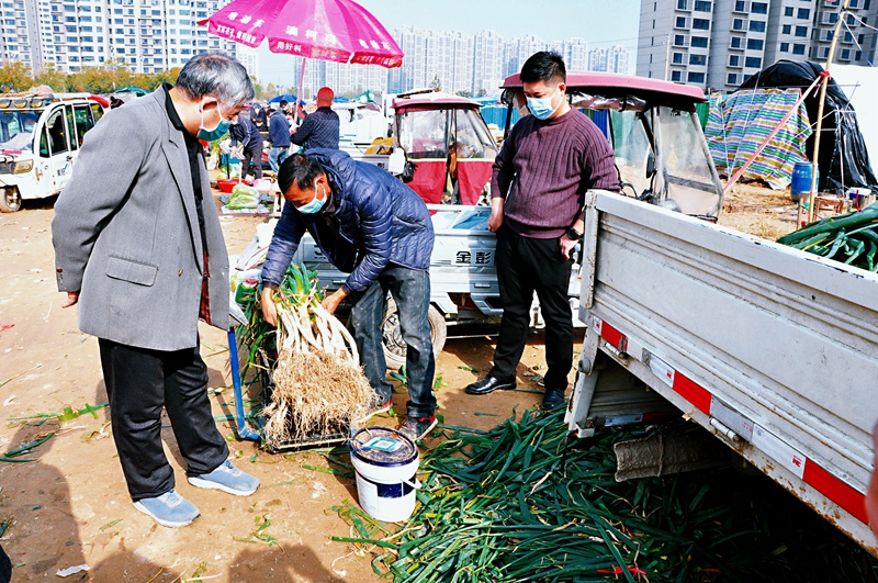 開設“自賣”做好“蓄水” 河南商丘化解“菜梗阻”