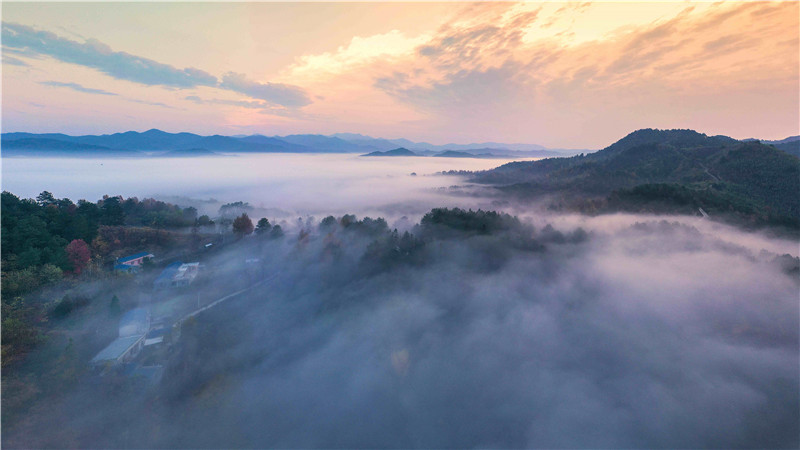 信陽新縣：冬日雲海美如畫_fororder_雲海日出美出天際，仿佛人間仙境 楊明新 攝