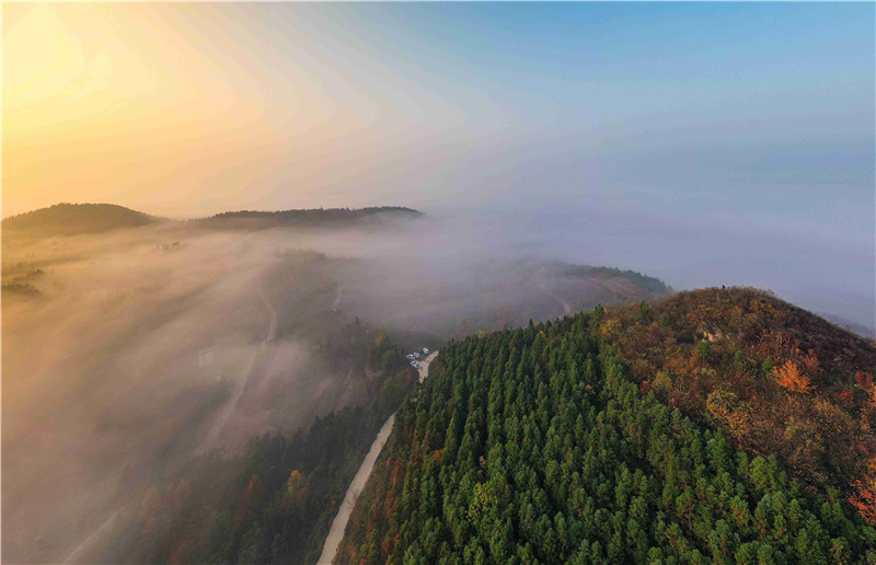 信陽新縣：冬日雲海美如畫_fororder_群山被雲霧吞沒，白雲平鋪萬里，宛若置身雲的海洋 楊明新 攝