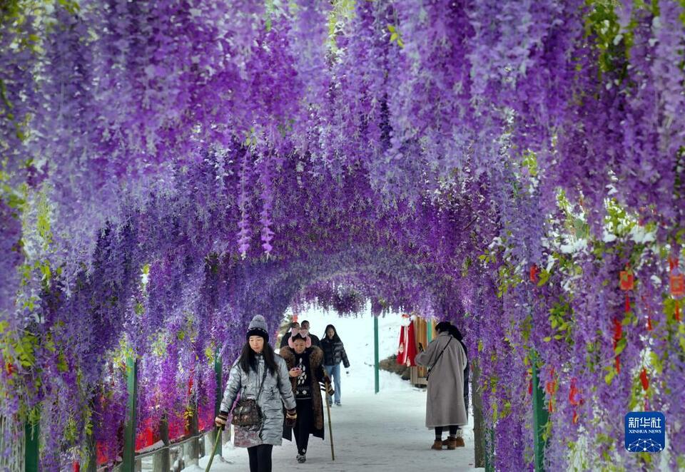 古風盛宴洛陽城 漢裝踏雪老君山——古都洛陽文旅産業復蘇“新圖景”