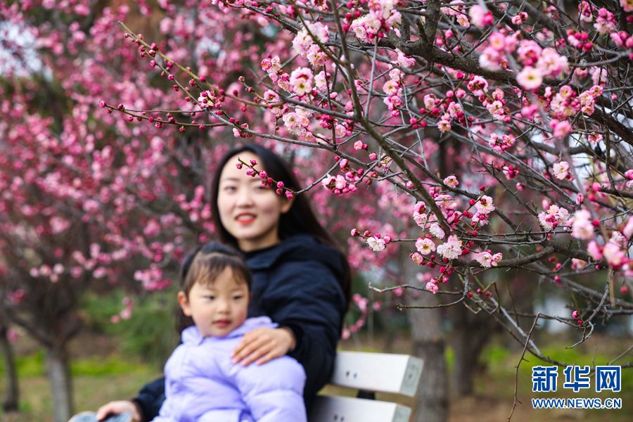 信陽光山： 春有約 花不負