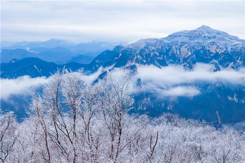 焦作雲臺山：雪後霧凇雲海似仙境_fororder_mmexport1676257218904