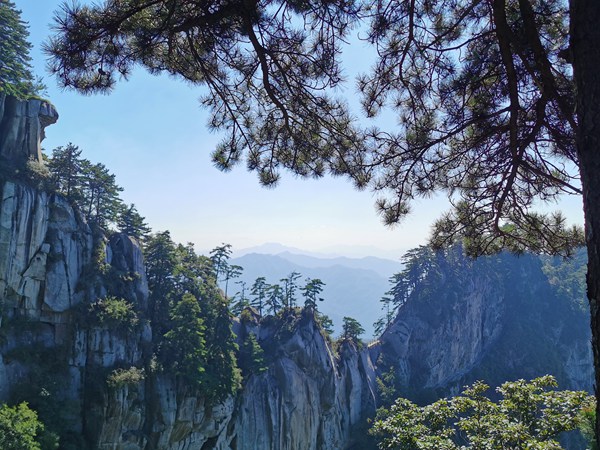 【旅遊資訊-文字列表】老家河南媒體采風團走進內鄉寶天曼景區