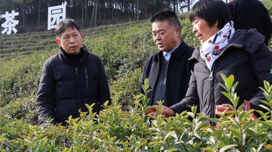 【原創】信陽市光山縣：增技賦能促振興 農民技能培訓進行時_fororder__78910002