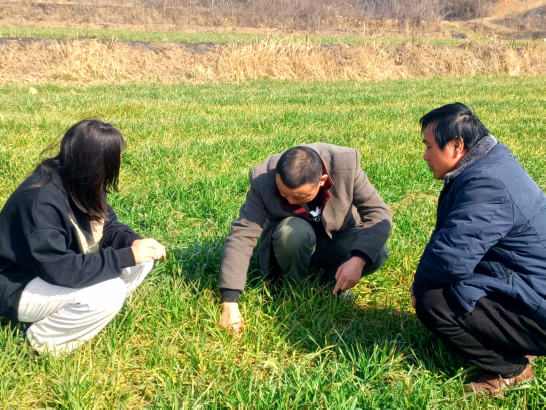 【原創】信陽市平橋區：精細氣象服務 護航春季農業生産_fororder__64870002