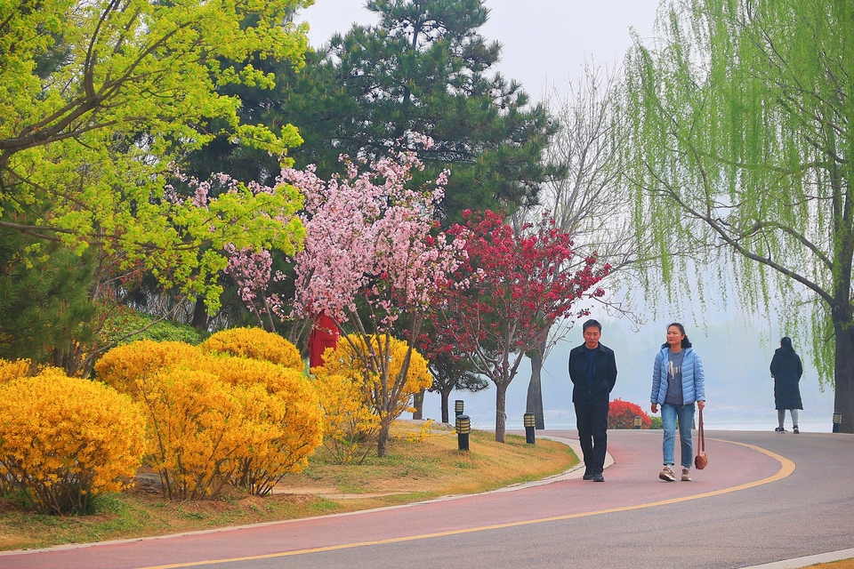 河南開封：花團錦簇 春到古城