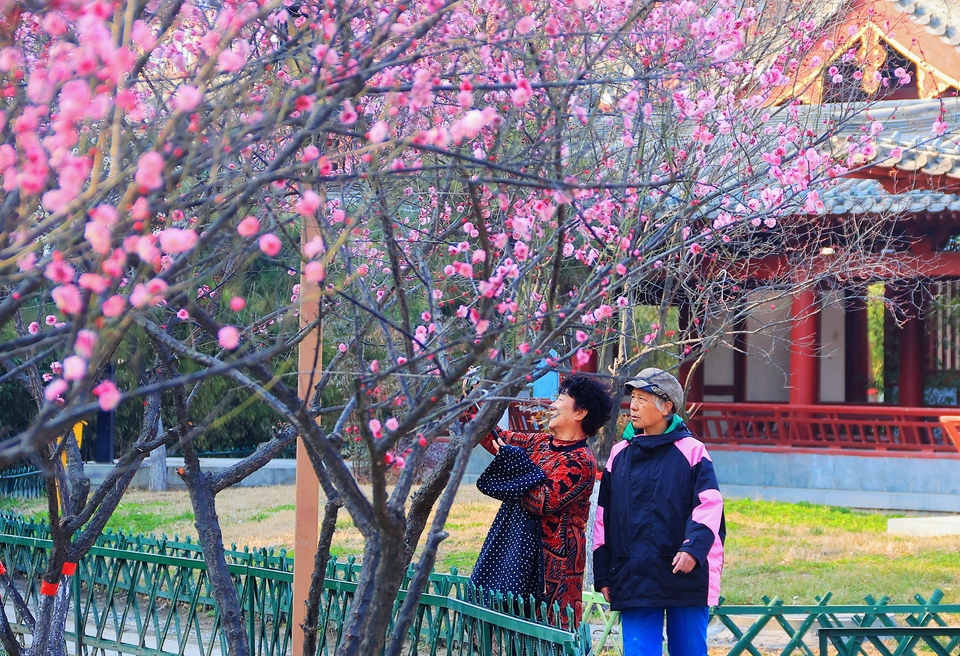 河南開封：遊大宋禦河 賞春日美景