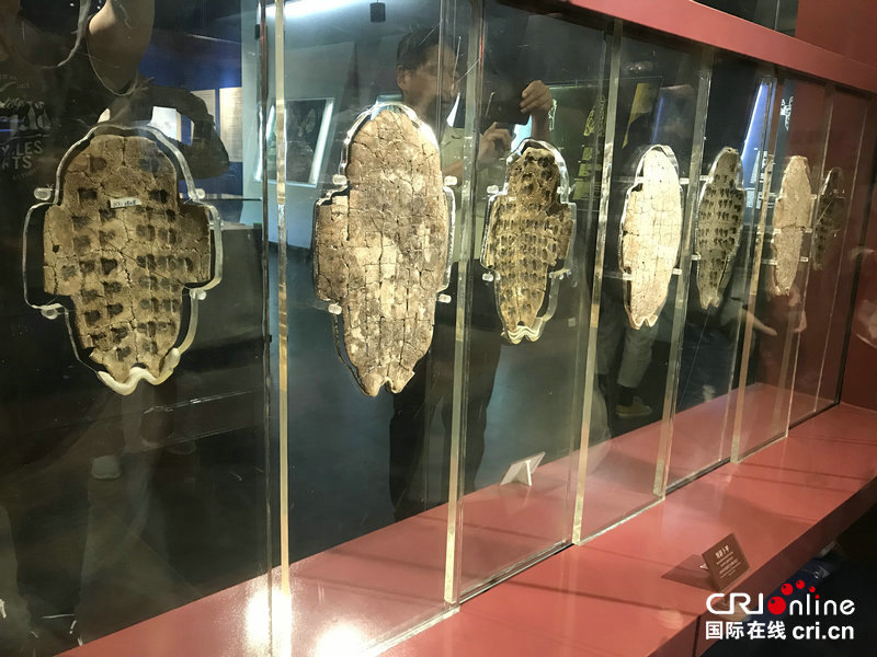 【壯麗70年·古都新風貌】安陽：甲骨文鐫刻厚重過去 紅旗渠精神指引輝煌未來