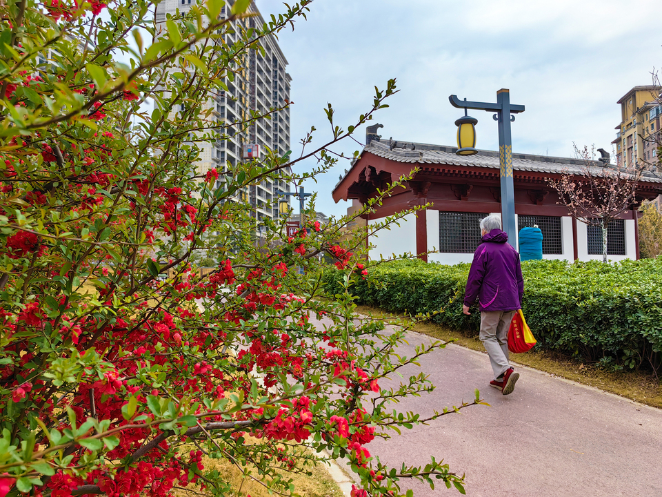 河南開封：市民樂享春日美好