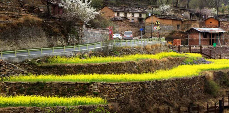 【原創】安陽林州：太行春日好風光_fororder_油菜花香景色美