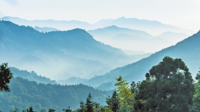 信陽羅山縣生物多樣性保護在聯合國破局出圈探秘