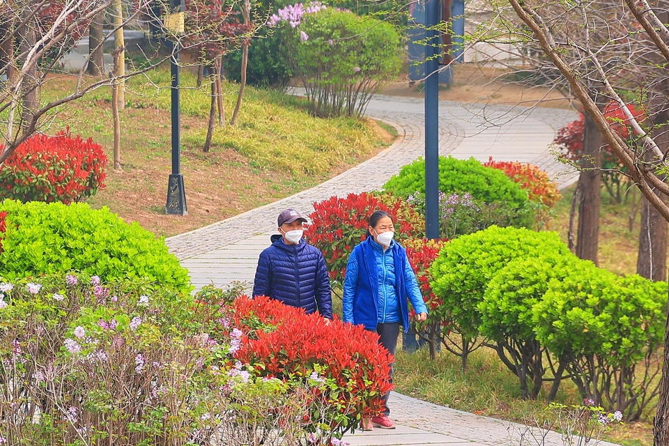 河南開封：花團錦簇 春到古城