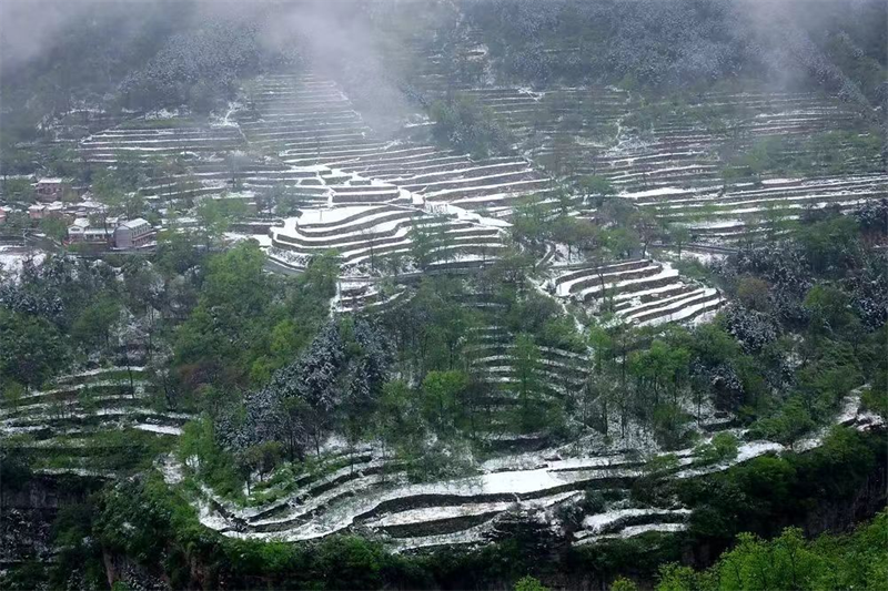 【原創】安陽林州：春雪罩青山 美景如畫卷_fororder_圖片4