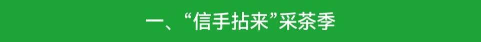 【客戶端轉發】美好生活·青春信陽！第31屆信陽茶文化節活動繽紛多彩