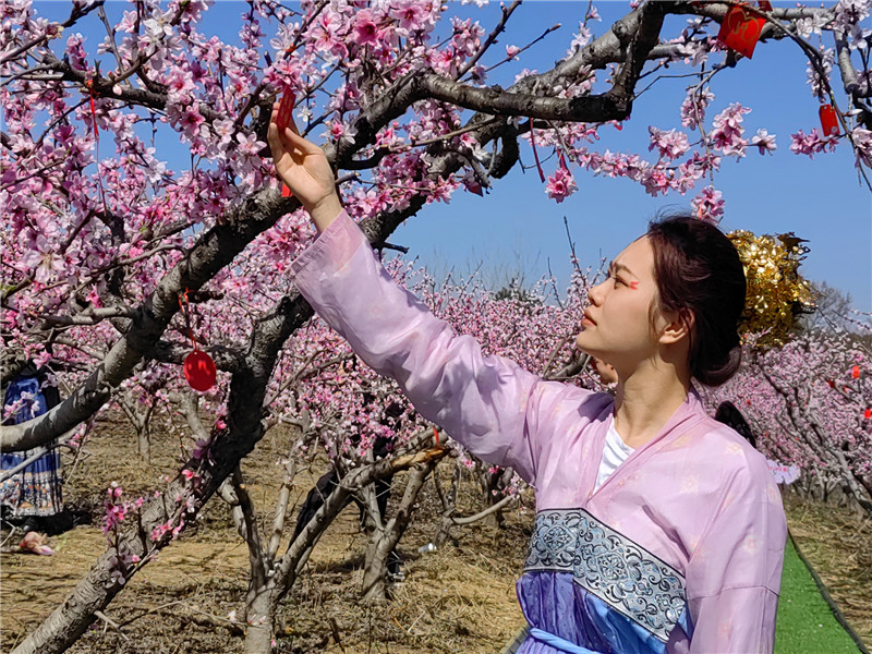 南陽桐柏：桃花源裏惹人醉_fororder_漢服愛好者駐足賞花 攝影 周黎娟