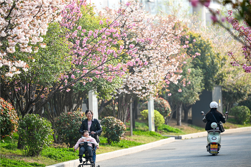 信陽新縣：一路繁花一路景_fororder_遛娃、騎行，好不愜意。蔣侖 攝.JPG