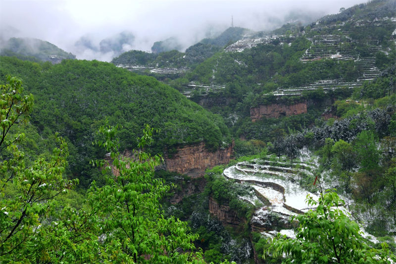 【原創】安陽林州：春雪罩青山 美景如畫卷_fororder_圖片5