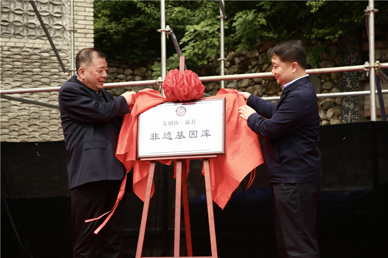 “非遺點亮茶節·共享美好生活”新縣吳陳河系列活動啟幕_fororder_大別山（新縣）非遺基因庫揭牌（王麗君 攝）