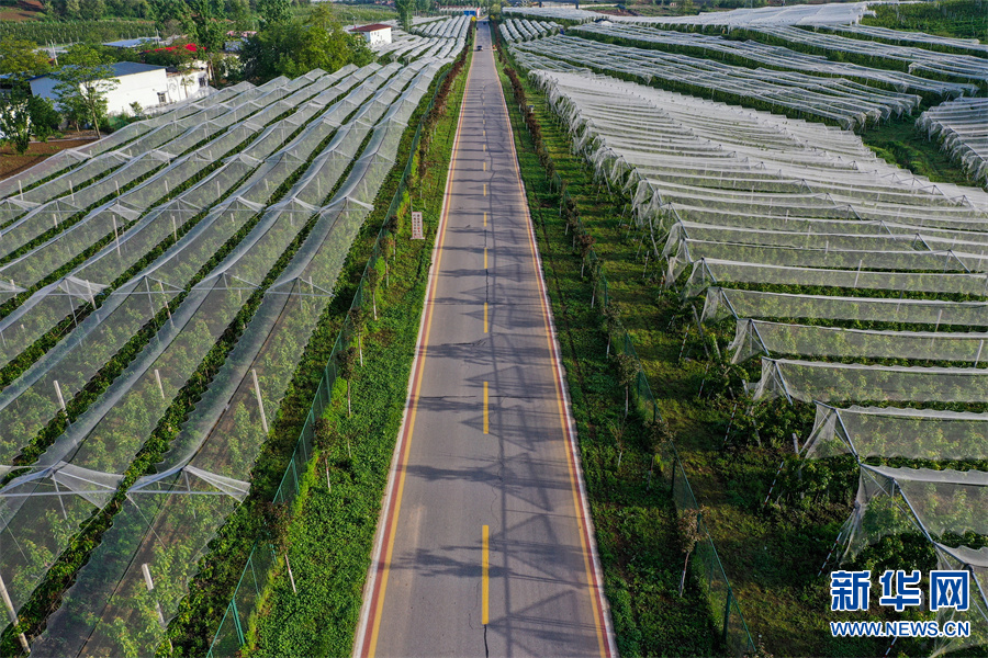 河南省三門峽市盧氏縣：綠染山川滿眼新