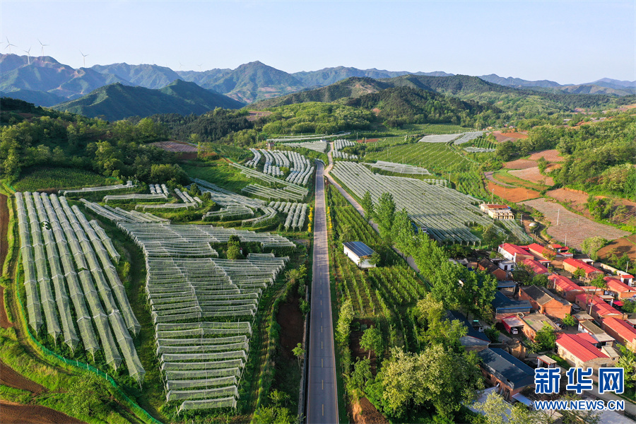 河南省三門峽市盧氏縣：綠染山川滿眼新