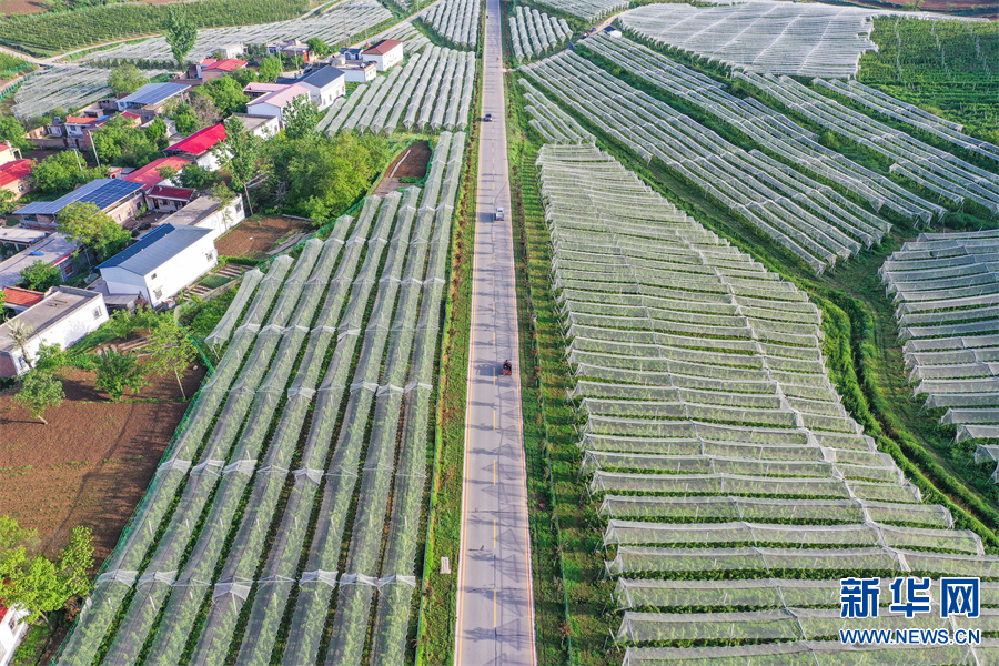 河南省三門峽市盧氏縣：綠染山川滿眼新