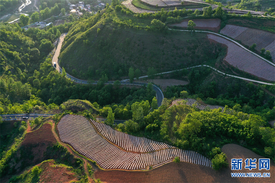 河南省三門峽市盧氏縣：綠染山川滿眼新