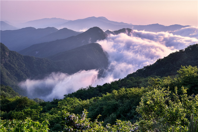 信陽新縣：初夏黃毛尖 雲海卷如潮_fororder_雲層如驚濤駭浪 浪花飛濺。焦漢平 攝.JPG