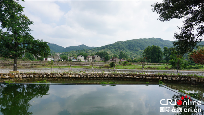 “一帶一路”國際青年走進信陽羅山 看“紅”“綠”資源助力鄉村未來_fororder_何家衝村景 攝影 賈親親.JPG