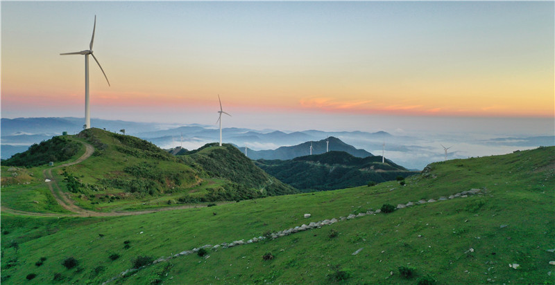 信陽新縣：夏日黃毛尖 雲海美如畫_fororder_遠景近景皆如畫（ 胡靜泓 攝）