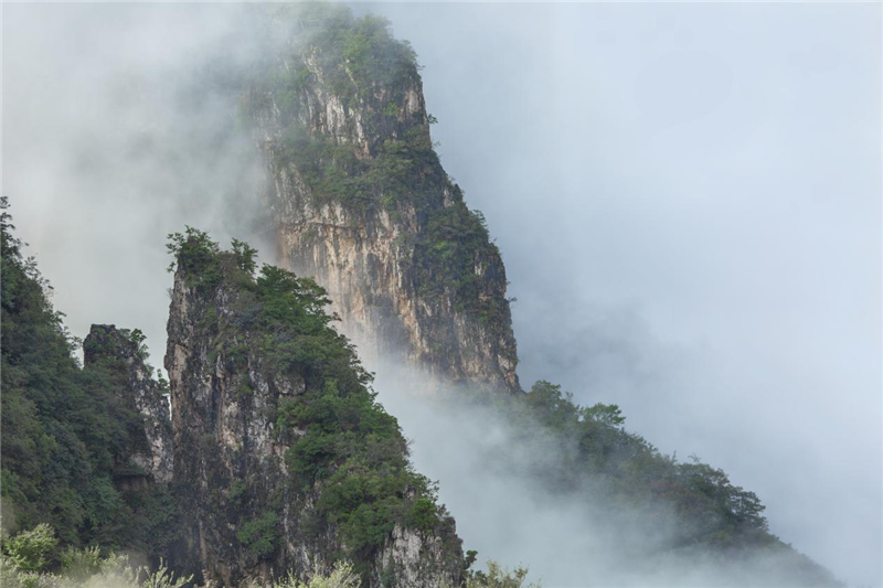 安陽林州：雨後太行山 雲海美如畫_fororder_圖片16