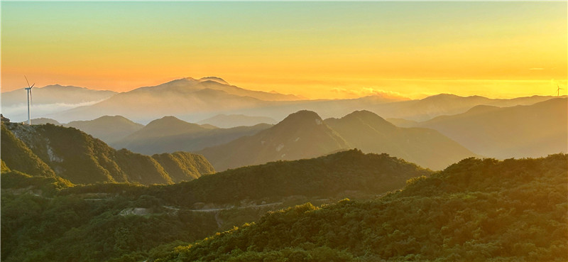 信陽新縣：夏日黃毛尖 雲海美如畫_fororder_群山在縹緲的雲霧中若隱若現，如夢似幻。（胡靜泓 攝）