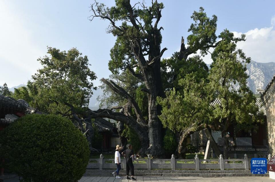 走進嵩陽書院 感受古韻文風