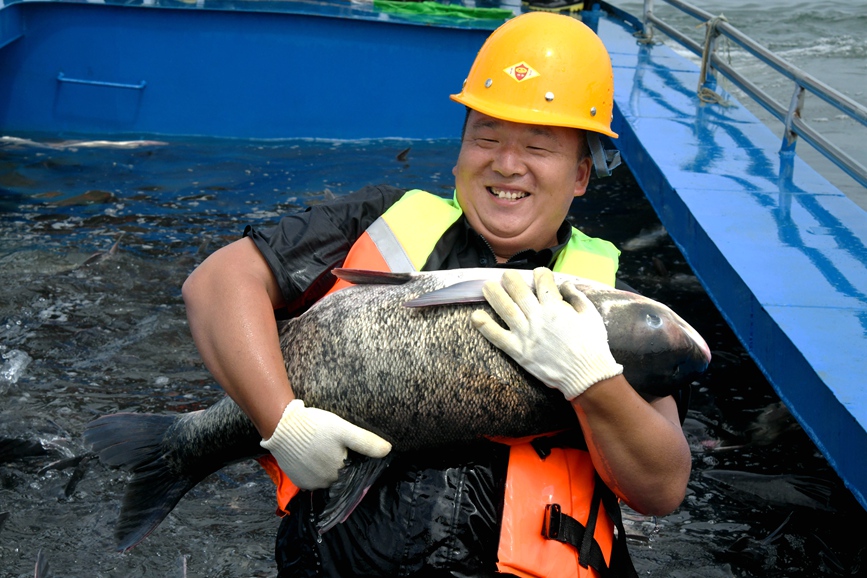 洛陽陸渾水庫開網捕魚