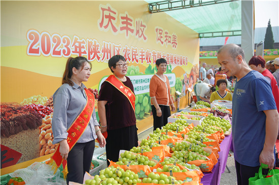 三門峽市陜州區中國農民豐收節暨大營鎮城村葡萄節開幕_fororder_特色農産品展銷 攝影 王保龍