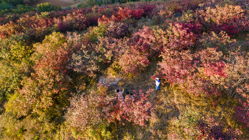 平頂山市：2023汝州第五屆紅葉·紅色旅遊文化節啟動