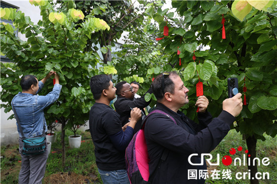 中外網紅髮現紫荊“寶藏” 約見春日花開_fororder_微信圖片_20230926085243