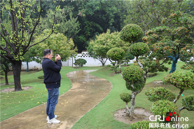 林海花田風景好 中外網紅講好花都鄢陵“蝶變”故事_fororder_微信圖片_20230926100823