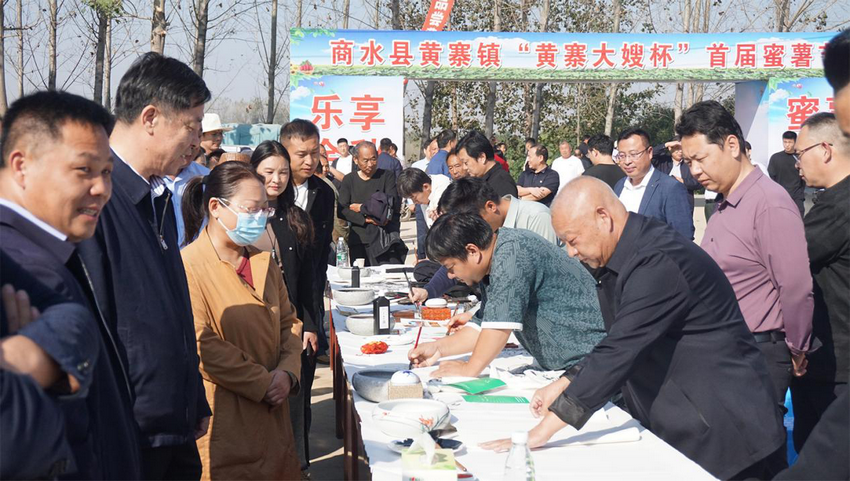 “樂享金秋 蜜薯有約”商水縣黃寨鎮“黃寨大嫂杯”首屆蜜薯節開幕_fororder_圖片7