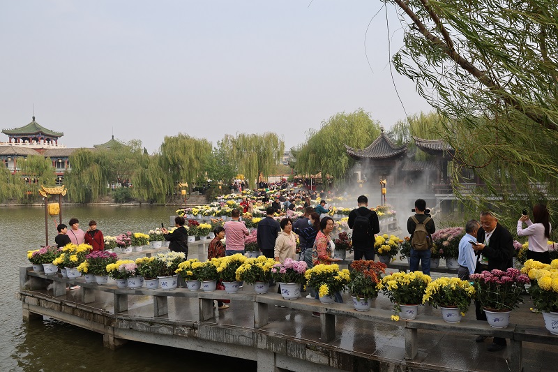 【原創】第九屆翰園情菊花插花精品展開幕_fororder_遊客在翰園碑林賞景觀花 攝影 張雨晴.JPG