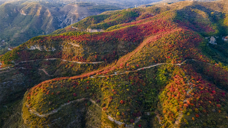 平頂山市：2023汝州第五屆紅葉·紅色旅遊文化節啟動