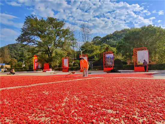 平頂山市魯山縣：金秋團城美如畫 處處綻放文明花_fororder_圖片5