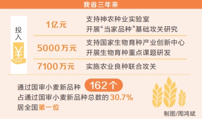 河南勇攀種業新高峰