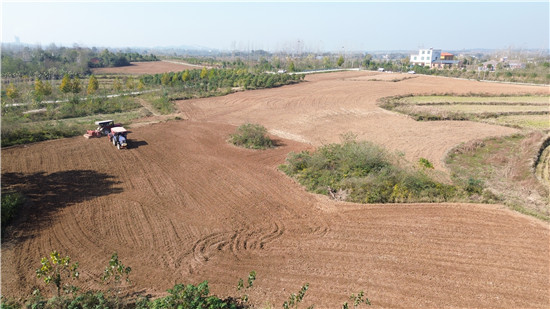 守牢耕地“紅線” 信陽市光山縣復耕撂荒地播種增收田_fororder_整理後的撂荒地種上了小麥。張超攝.JPG