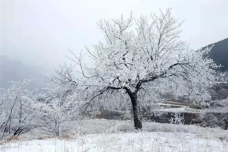 安陽林州：初雪落太行_fororder_圖片6