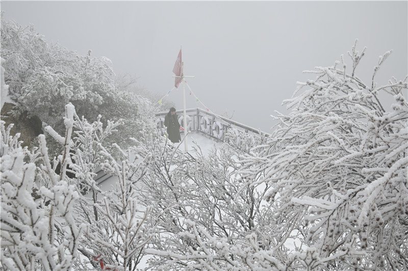 南陽老界嶺：雪景盛宴 美不勝收_fororder_老界嶺雪景 攝影 楊永青